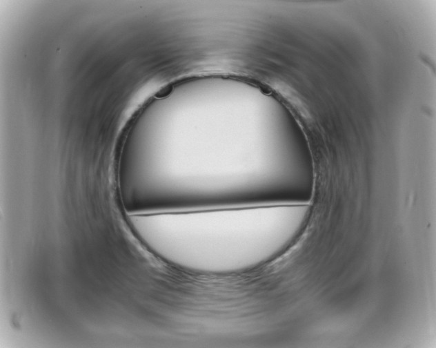 X0000099311469200805020722