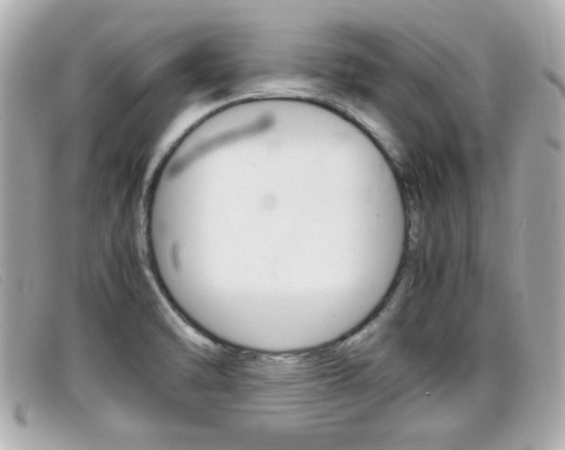 X0000099311470200805020721