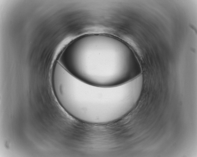 X0000099311472200805020721