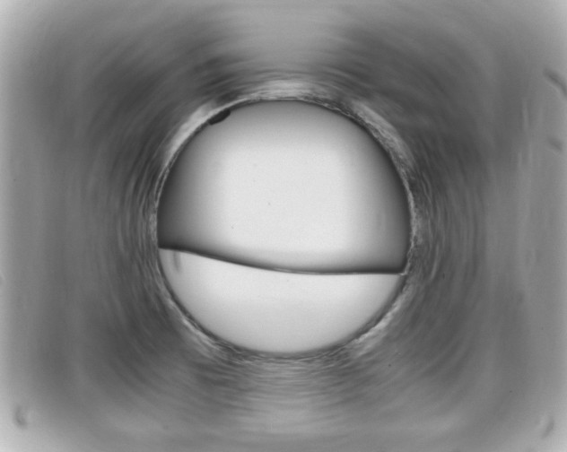 X0000099311473200805020721