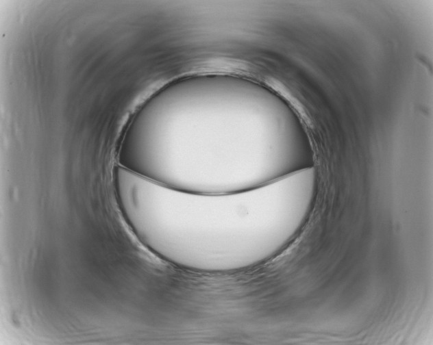 X0000099311477200805020721