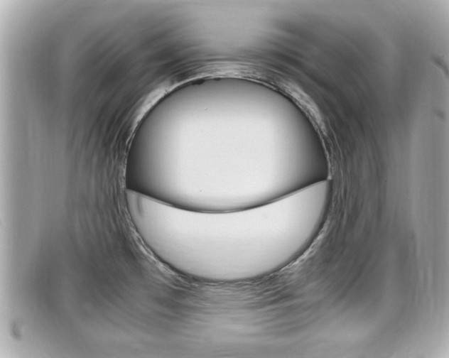 X0000099311481200805020721