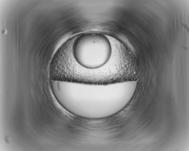 X0000099311483200805020721
