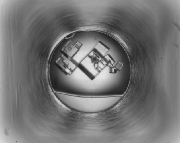 X0000099311484200805020721