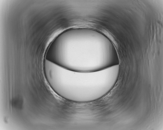 X0000099311485200805020721