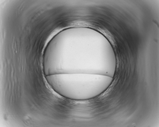 X0000099311486200805020721