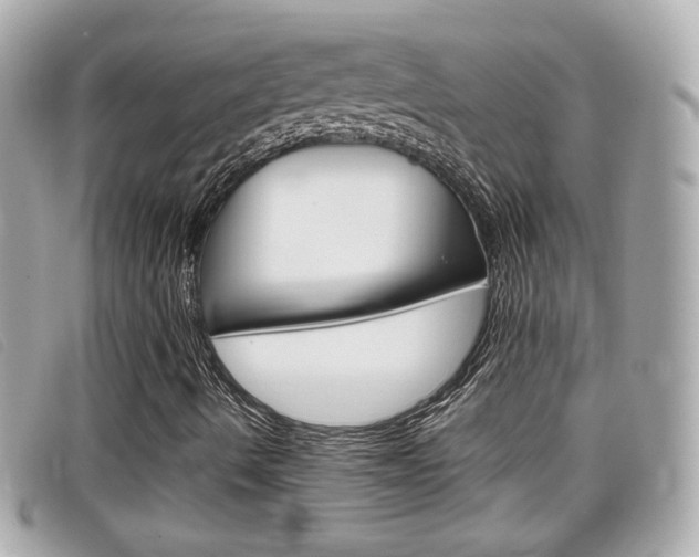 X0000099311490200805020721