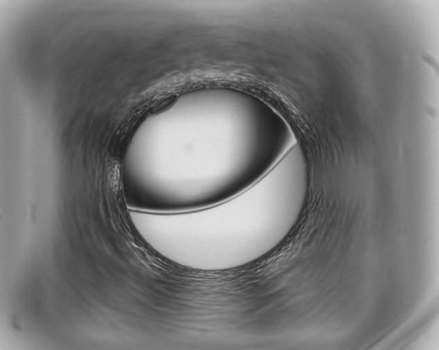X0000099311492200805020721