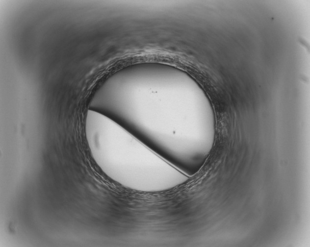 X0000099311493200805020721