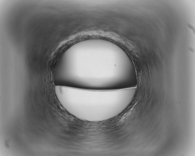 X0000099311494200805020721