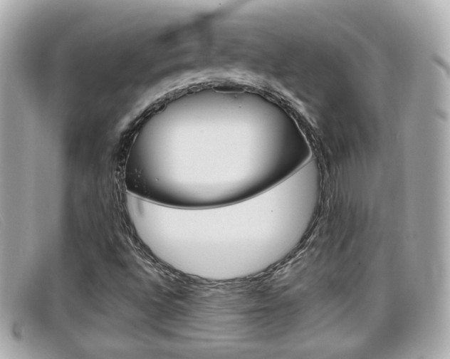 X0000099311496200805020721