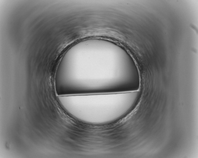 X0000099311497200805020721