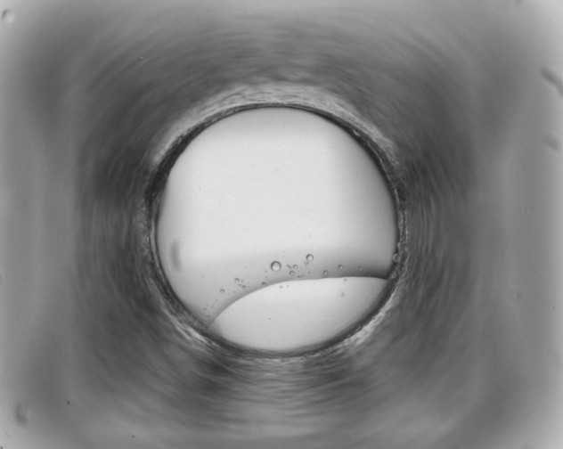 X0000099311498200805020721