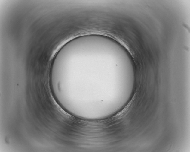X0000099311500200805020721
