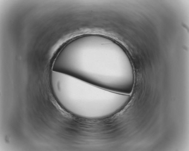 X0000099311503200805020721