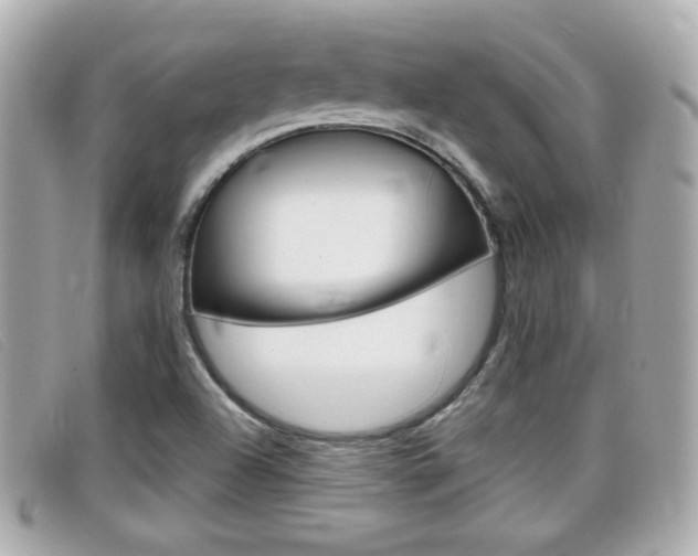 X0000099311504200805020721
