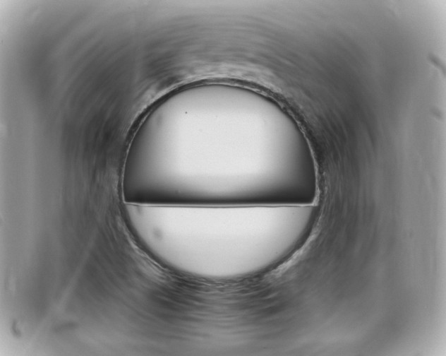 X0000099311505200805020721