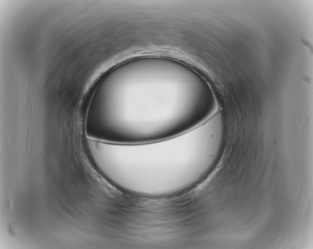 X0000099311506200805020721