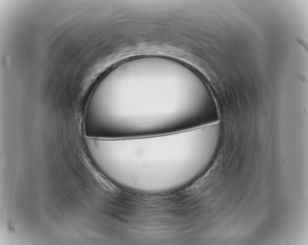 X0000099311507200805020721
