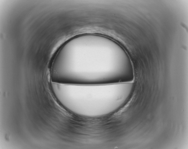 X0000099311509200805020721