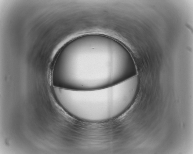 X0000099311510200805020721