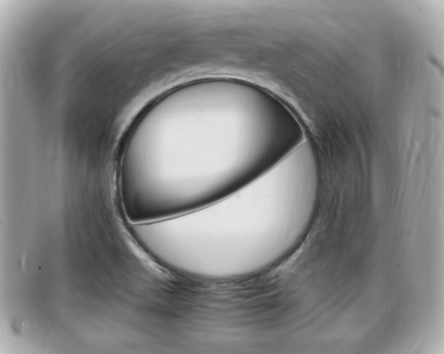 X0000099311511200805020721