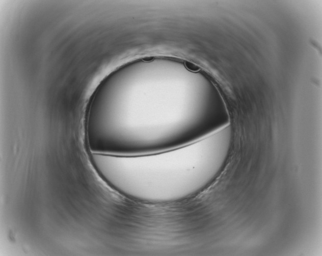 X0000099311512200805020721