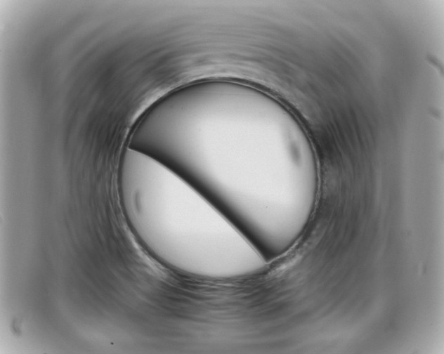 X0000099311513200805020721