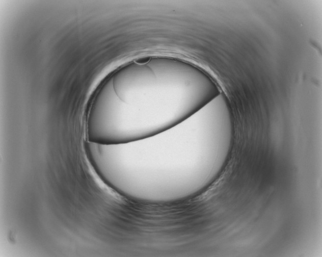 X0000099311515200805020721