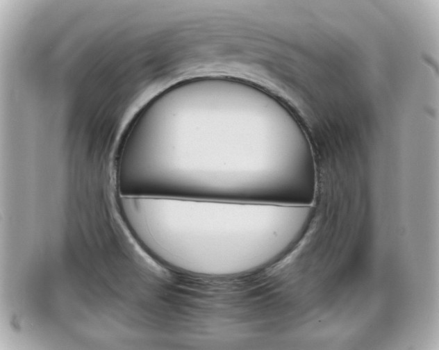 X0000099311517200805020721