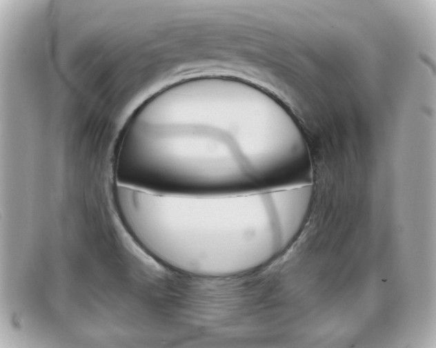 X0000099311518200805020721