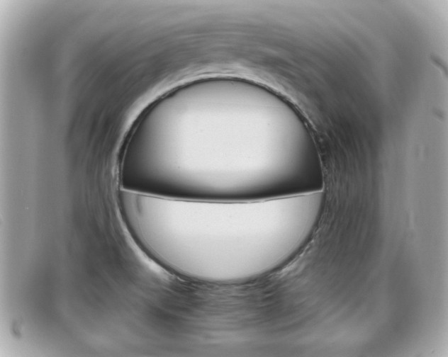 X0000099311519200805020721