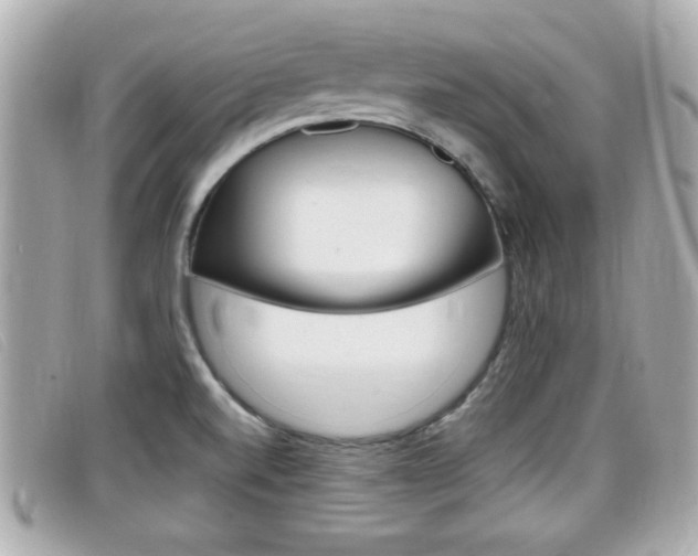 X0000099311520200805020721