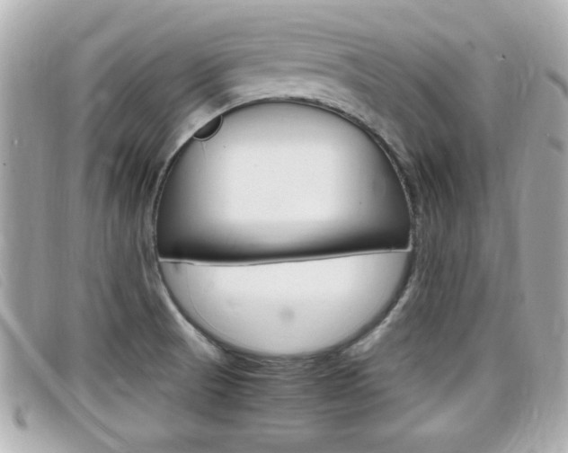 X0000099311521200805020721