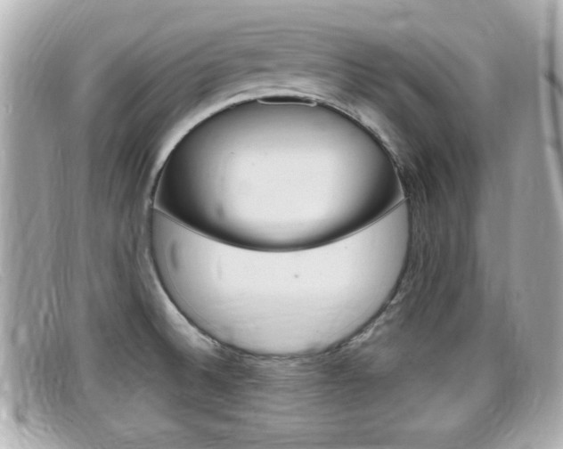 X0000099311524200805020721