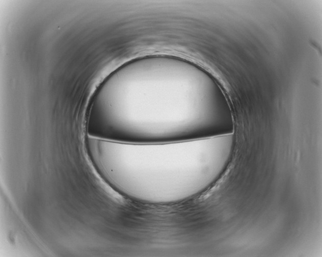 X0000099311525200805020721