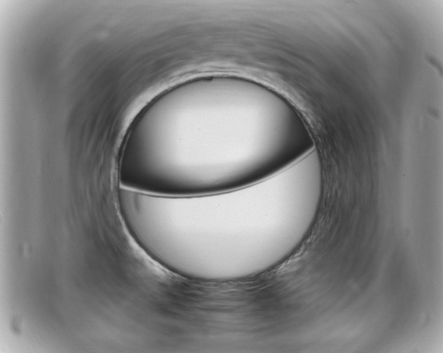 X0000099311527200805020721