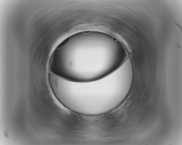 X0000099311528200805020721