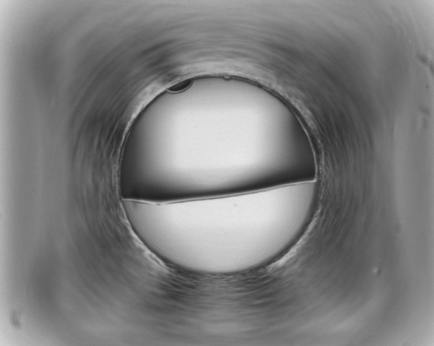 X0000099311529200805020721