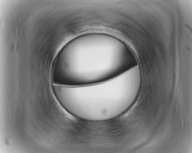 X0000099311533200805020721