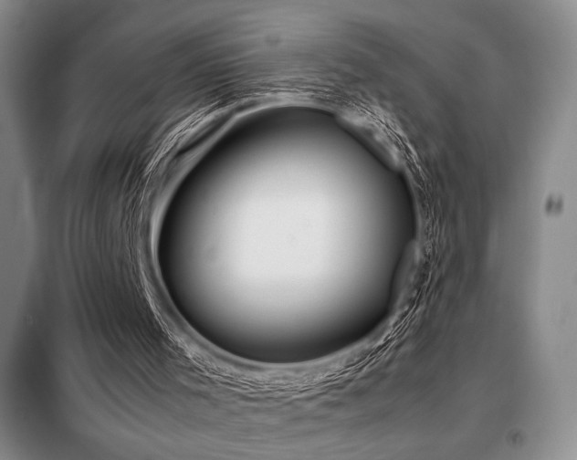 X0000099310001200805021325