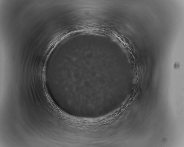 X0000099310002200805021325