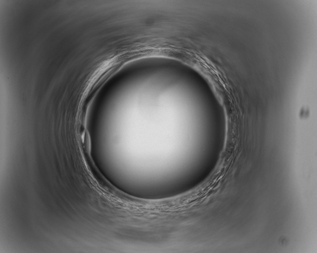 X0000099310003200805021325