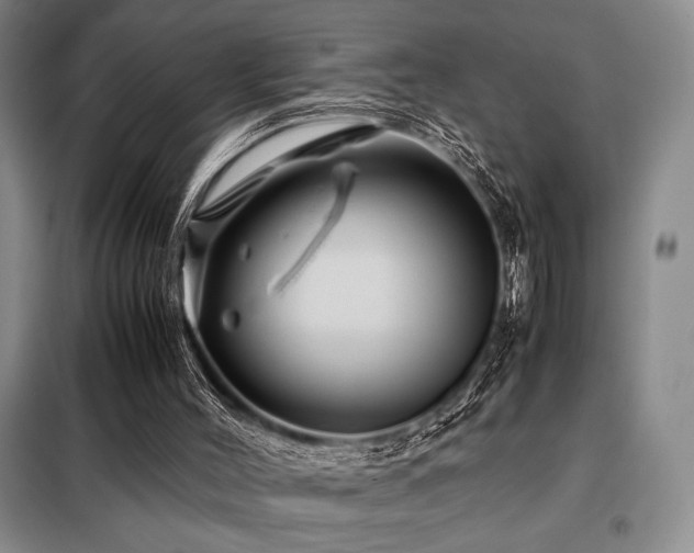 X0000099310004200805021325