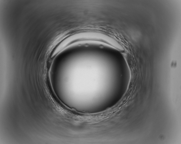 X0000099310005200805021325