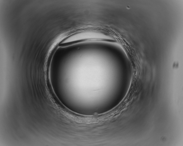 X0000099310006200805021325