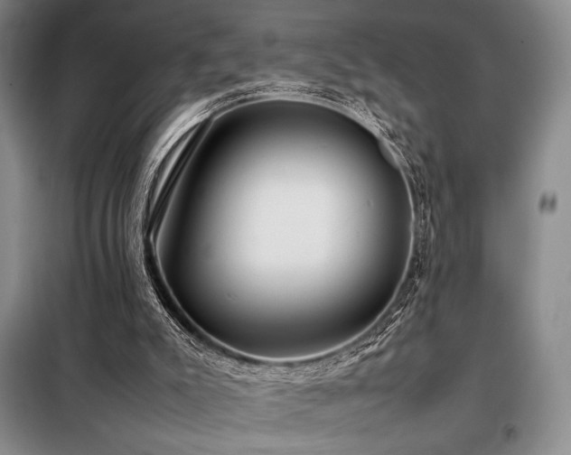 X0000099310007200805021325