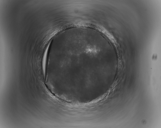 X0000099310009200805021325