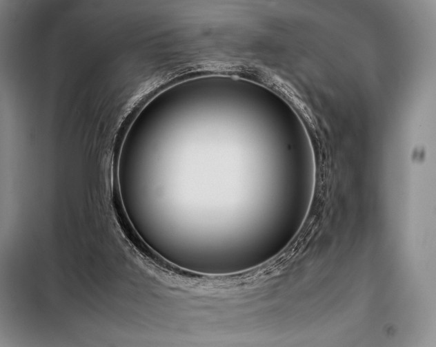 X0000099310011200805021325