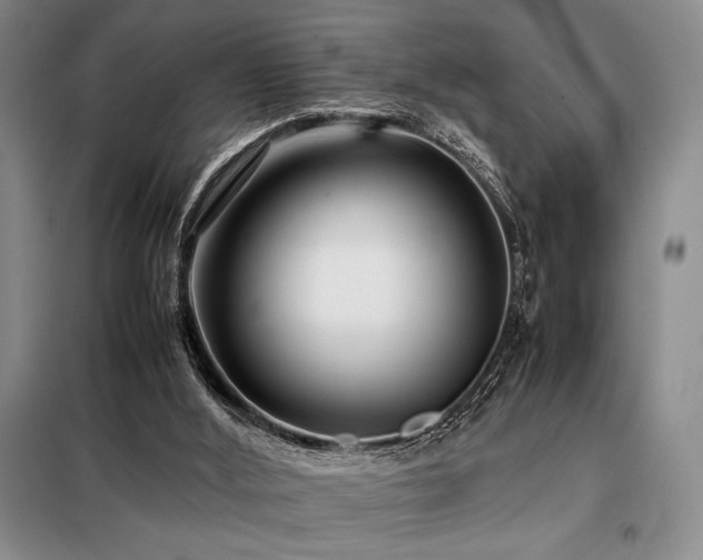 X0000099310012200805021325
